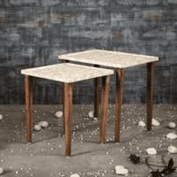 Jungle Solid Wood Nested End Table in Paper Finish - Set of 2