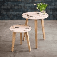 Paula Nested Table - Set of 2
