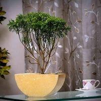 Claire Yellow Marble Planter