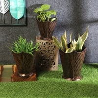 Flower Pot Planter Set Of 3 In Black Colour