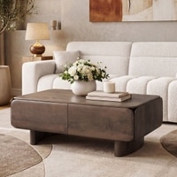 Olen Solid Wood Rectangular Storage Coffee Table In Danish Walnut Finish