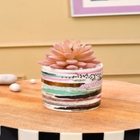 Sucullent Artificial Plant With Horizontal Multicolored Stripes Along With Pot