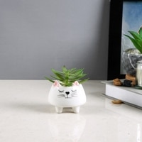 Whisker Cat Ceramic Planter