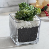 Celiea Artificial Plant With Pot
