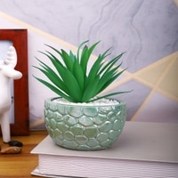Attractive Aloe Vera Plant With Green Pebble Patterned Design Ceramic Pot