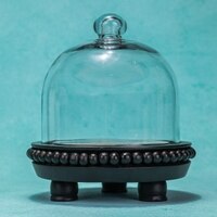 Ireka Homes Sweet Spot Acacia Wood Cake Stand with Glass Dome