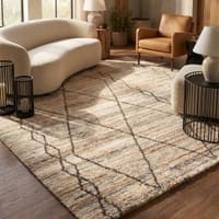 Jaipur Rugs Geometric Polyester 5x8 Feet White And Dark Brown Hand Knotted Rug Carpet