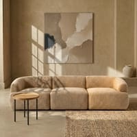Zenliving Wood 3 Seater With Upholstery Non Storage Sofa In Beige Colour