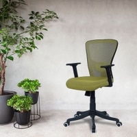 Peacifice Mid Back Ergonomic Chair in Pearl Green Colour