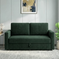 Alfon 2 Seater Velvet Pull Out Sofa Cum Bed with Storage In Green