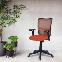 Eexcaeal Mid Back Ergonomic Chair in Orange Colour