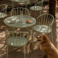 Chalet Air Metal Dining Chair in Sage Green Colour