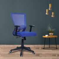 Ebeaony Mid Back Ergonomic Chair in Blue Colour