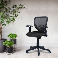 Odrione Low Back Ergonomic Chair in Black Colour