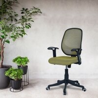 Goolda Low Back Ergonomic Chair in Pearl Green Colour