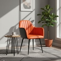 Adiko Leatherette Lounge Chair in Orange Colour