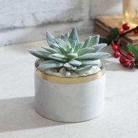 Laura Artificial Plant With Pot