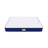 Back Master with NFF Tech Mattress (75 x 35 in, 8 Inches)
