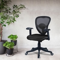 Aaeroa Low Back Ergonomic Chair in Black Colour