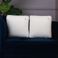 Memory Foam Back Support Cushion 16X16