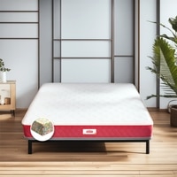 Coirfit Bone Zone Mattress (78 x 36 in, 6 Inches)