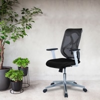 Wiwngas Mid Back Ergonomic Chair in Black Colour