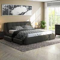 Stanhope Engineered Wood Queen Size Drawer Storage Upholstered Bed In Finish