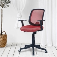 Xxeana Low Back Ergonomic Chair in Red Colour