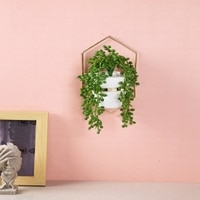 Hexa Frame Botanical Planter