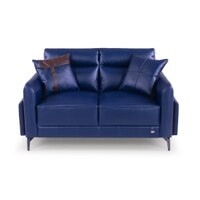 Meagan 2 Seater Leatherette Sole in Blue Colour