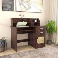 Shamon Study Table (Rattan Door)