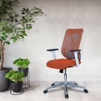 Wiwngas Mid Back Ergonomic Chair in Orange Colour
