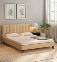 Dallas Engineered Wood Queen Size Non Storage Bed In Honey Oak Finish
