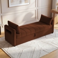 Jedlo Velvet 2 Seater Ottoman Bench with Storage  in Brown Color
