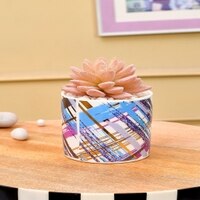 Sucullent Artificial Plant With Multicolored Stripes Along With Pot