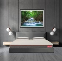 Usha Shriram Aero Ortho Hybrid Memory Pocket Spring Double Size Mattress (Mattress Thickness: 10 Inches, Mattress Dimensions: 72 x 48 in)