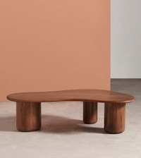 Hima Solid Wood Coffee Table In Dark Brown Finish