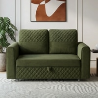 Baruna 2 Seater Velvet Pull Out Sofa Cum Bed with Storage In Green Color