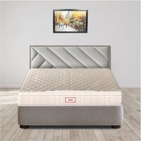 Spine FineOrthopedic Euro Top With Rebotech Technology 5 Inch Queen Size Bonded Foam Mattress (75X66 Inches) Premium Knitted Fabric, SoftRelax