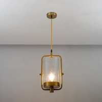 JUNIT Clear Glass & Brass Finish Metal Hanging Pendant Light