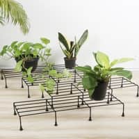 Pot Stand Set Of 4 In Black Colour