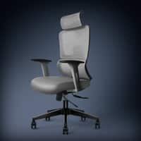 Imperia Ergonomic Study Chair in Grey Colour
