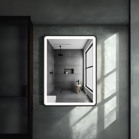 Modern Rectangular LED Mirror Black Stainless Steel Frame with Shelving