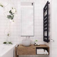 Bathroom Mirror ELF4818RCBVLBMRR