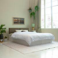 Havelock Engineered Wood Queen Size Bed In White Finish