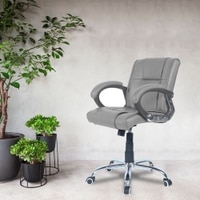 Ammoreavolea Mid Back Executive Chair in Grey Colour