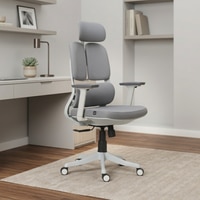 Merry Premium Ergonomic Office Chair High Back in Grey Colour