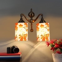 Devansh Metal Electric Wall Light in Multi Colour with Multi Shade Count of 2 Lights