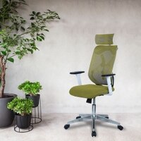 Wiweangs High Back Ergonomic Chair in Pearl Green Colour