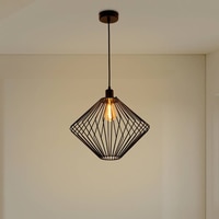 Lux Metal Hanging Light